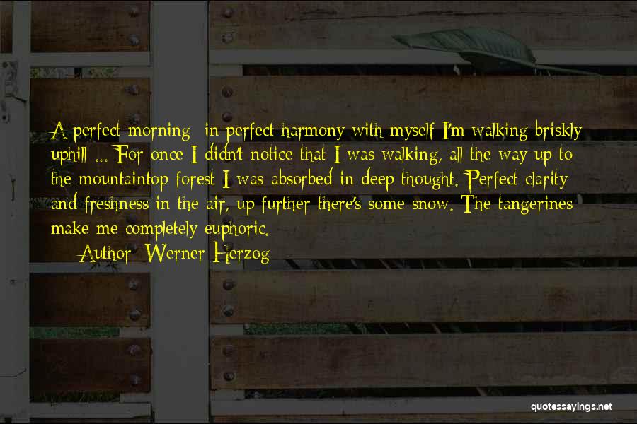 Werner Herzog Quotes: A Perfect Morning; In Perfect Harmony With Myself I'm Walking Briskly Uphill ... For Once I Didn't Notice That I