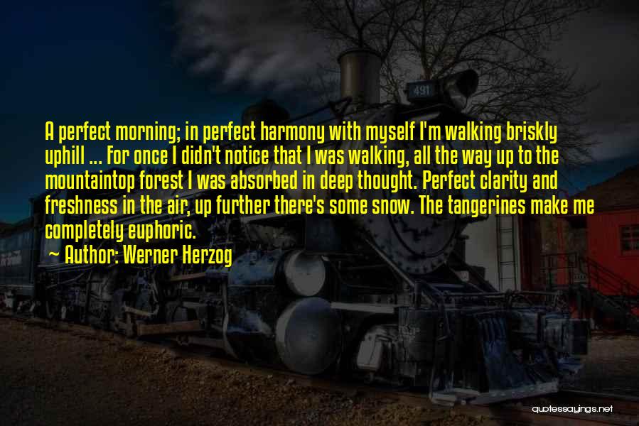 Werner Herzog Quotes: A Perfect Morning; In Perfect Harmony With Myself I'm Walking Briskly Uphill ... For Once I Didn't Notice That I