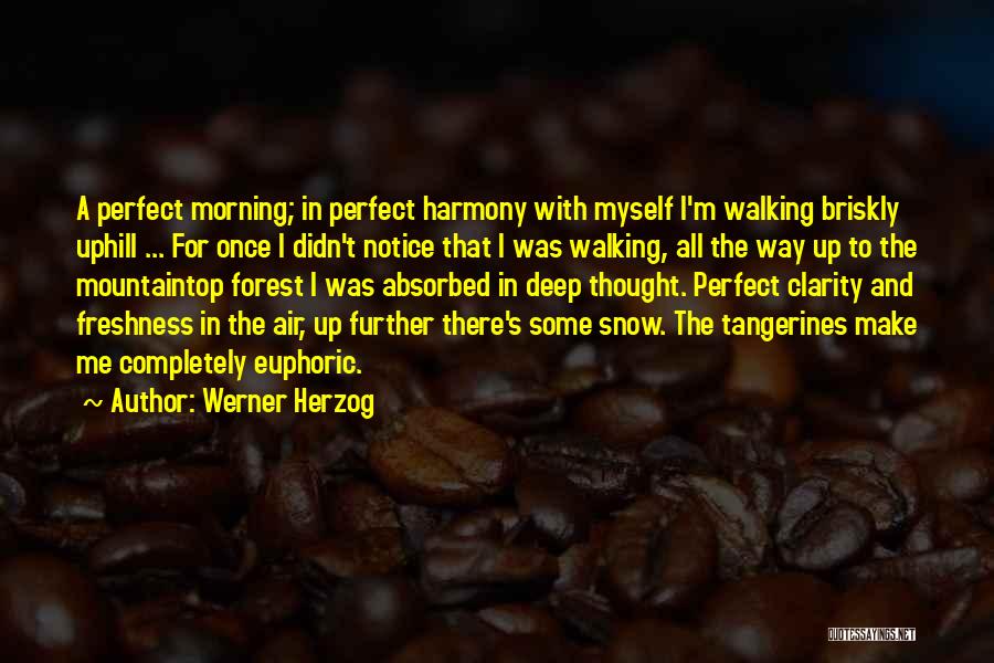 Werner Herzog Quotes: A Perfect Morning; In Perfect Harmony With Myself I'm Walking Briskly Uphill ... For Once I Didn't Notice That I