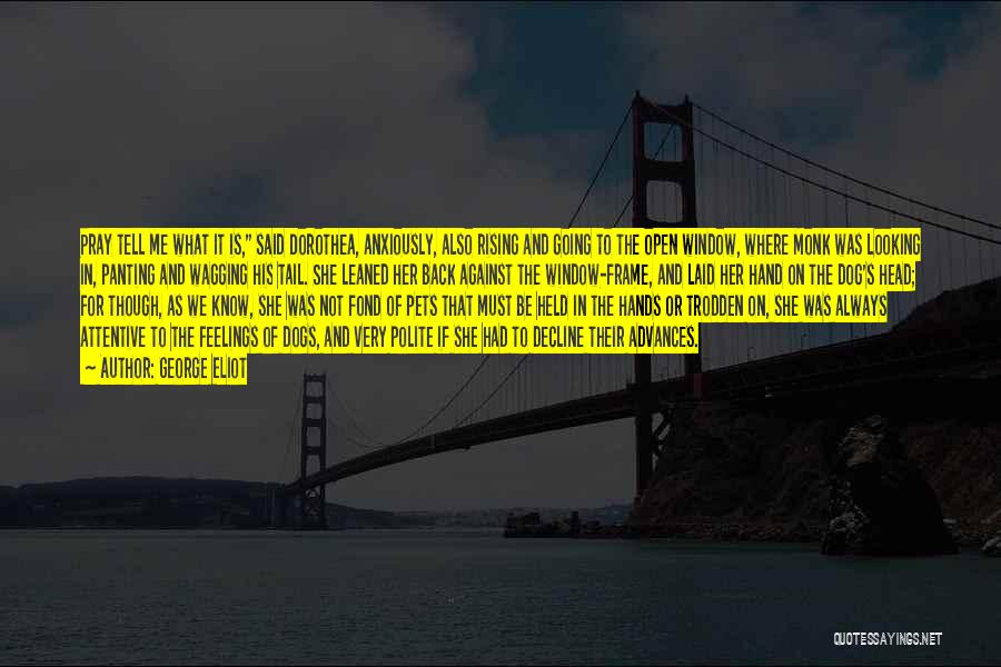 George Eliot Quotes: Pray Tell Me What It Is, Said Dorothea, Anxiously, Also Rising And Going To The Open Window, Where Monk Was