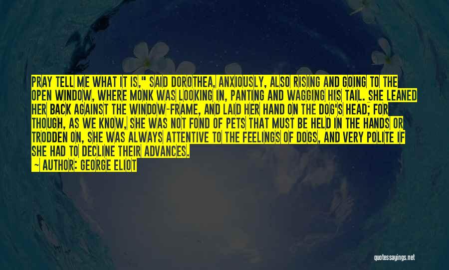 George Eliot Quotes: Pray Tell Me What It Is, Said Dorothea, Anxiously, Also Rising And Going To The Open Window, Where Monk Was