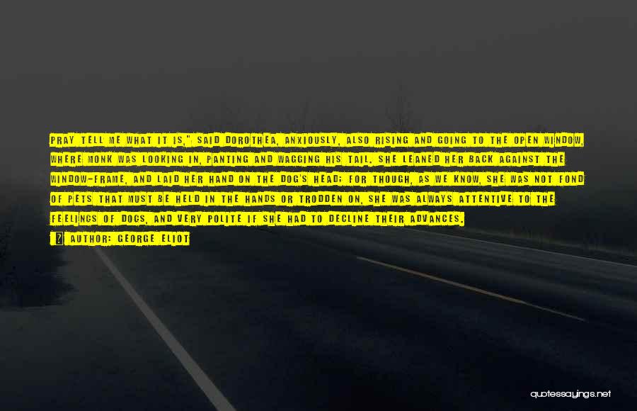 George Eliot Quotes: Pray Tell Me What It Is, Said Dorothea, Anxiously, Also Rising And Going To The Open Window, Where Monk Was
