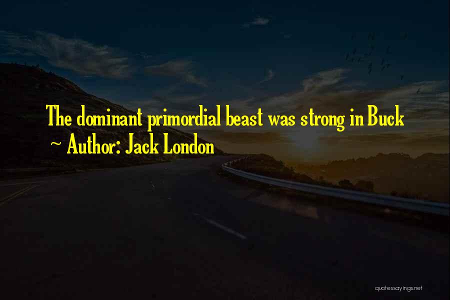 Jack London Quotes: The Dominant Primordial Beast Was Strong In Buck