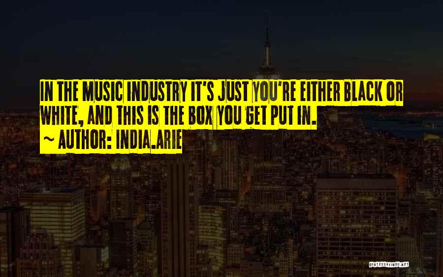 India.Arie Quotes: In The Music Industry It's Just You're Either Black Or White, And This Is The Box You Get Put In.