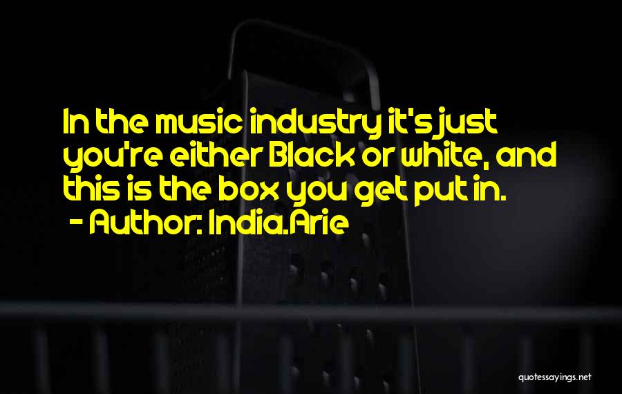 India.Arie Quotes: In The Music Industry It's Just You're Either Black Or White, And This Is The Box You Get Put In.