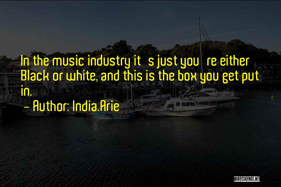 India.Arie Quotes: In The Music Industry It's Just You're Either Black Or White, And This Is The Box You Get Put In.