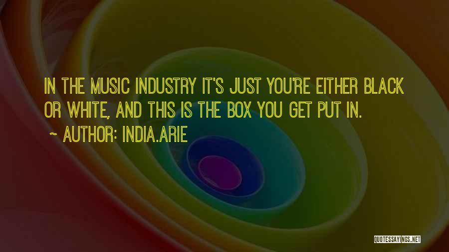 India.Arie Quotes: In The Music Industry It's Just You're Either Black Or White, And This Is The Box You Get Put In.