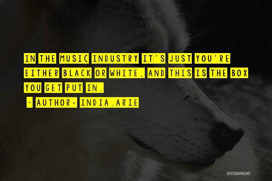 India.Arie Quotes: In The Music Industry It's Just You're Either Black Or White, And This Is The Box You Get Put In.