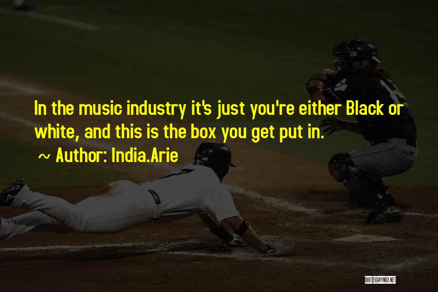 India.Arie Quotes: In The Music Industry It's Just You're Either Black Or White, And This Is The Box You Get Put In.