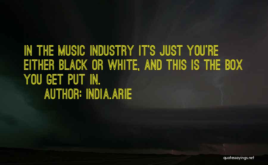India.Arie Quotes: In The Music Industry It's Just You're Either Black Or White, And This Is The Box You Get Put In.