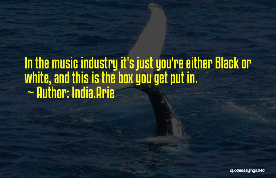 India.Arie Quotes: In The Music Industry It's Just You're Either Black Or White, And This Is The Box You Get Put In.