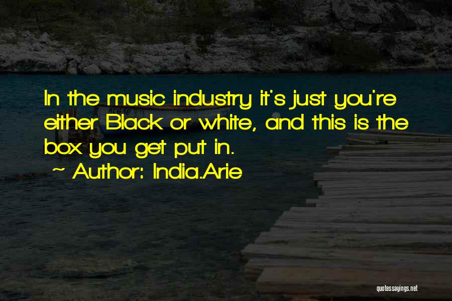 India.Arie Quotes: In The Music Industry It's Just You're Either Black Or White, And This Is The Box You Get Put In.