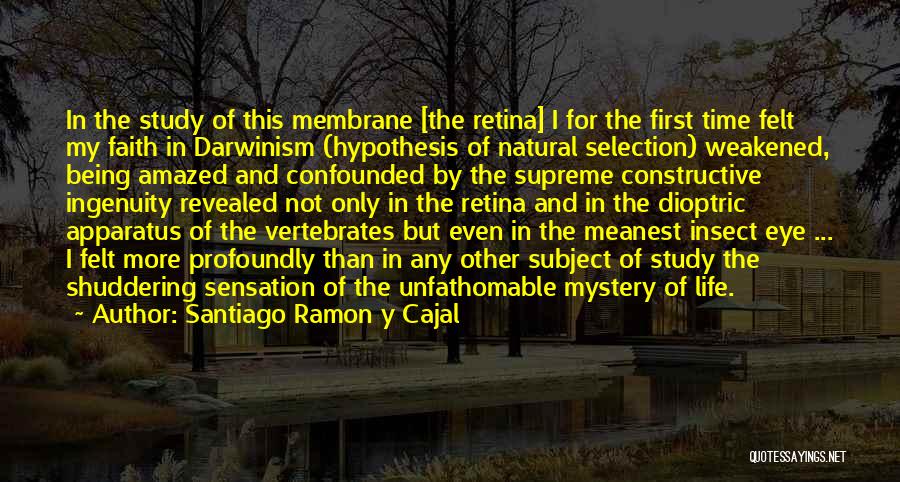 Santiago Ramon Y Cajal Quotes: In The Study Of This Membrane [the Retina] I For The First Time Felt My Faith In Darwinism (hypothesis Of