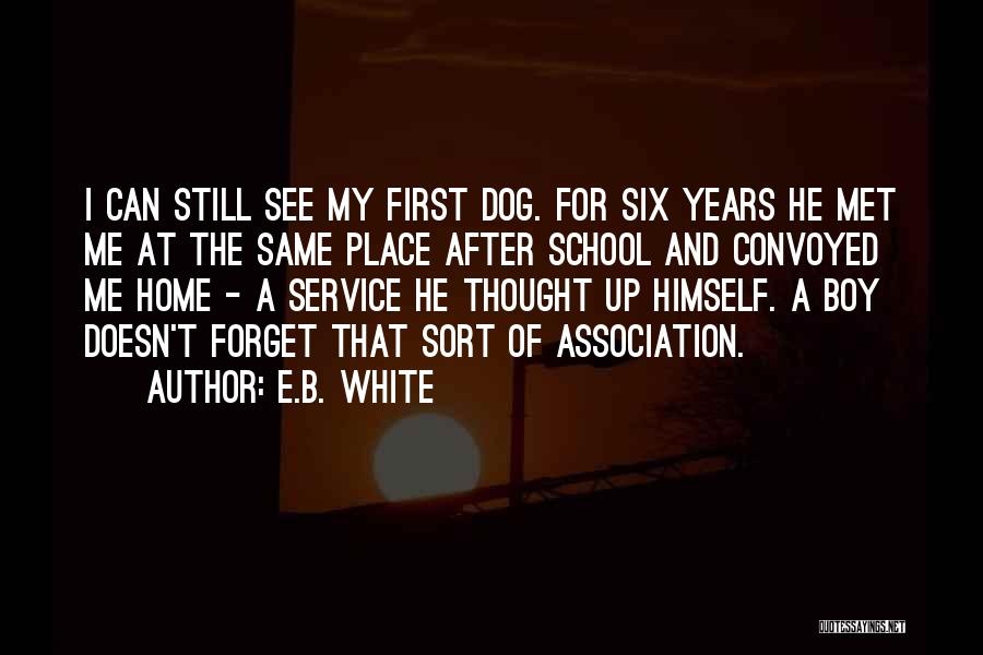E.B. White Quotes: I Can Still See My First Dog. For Six Years He Met Me At The Same Place After School And
