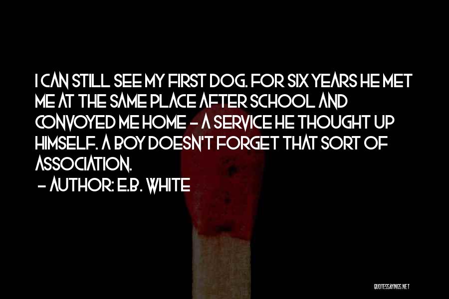 E.B. White Quotes: I Can Still See My First Dog. For Six Years He Met Me At The Same Place After School And