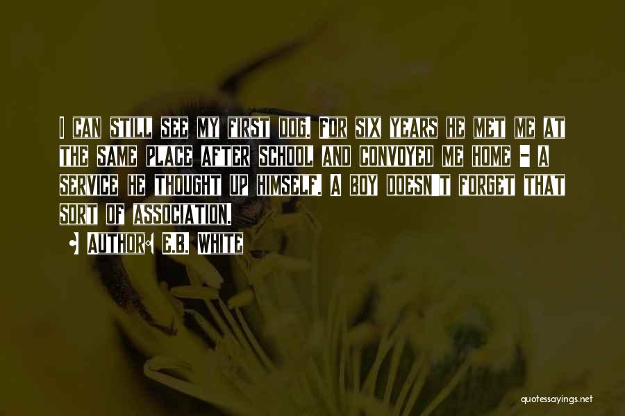 E.B. White Quotes: I Can Still See My First Dog. For Six Years He Met Me At The Same Place After School And