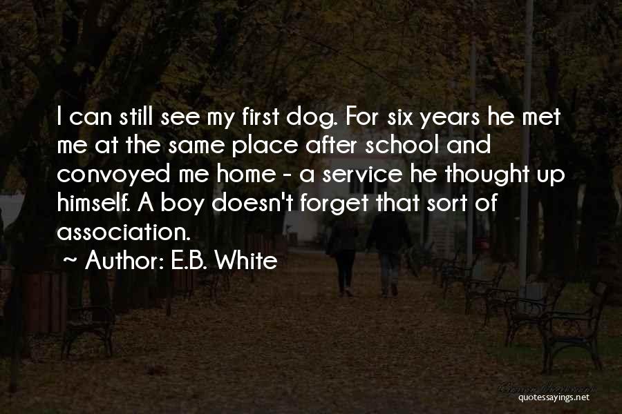 E.B. White Quotes: I Can Still See My First Dog. For Six Years He Met Me At The Same Place After School And