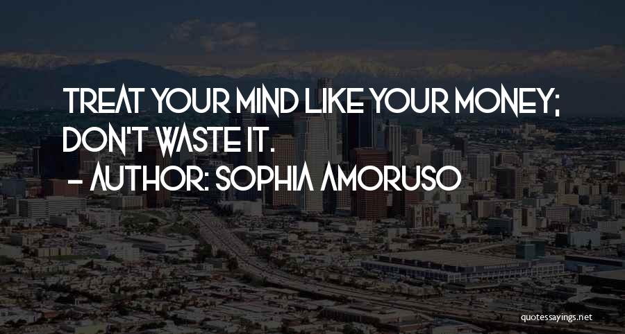 Sophia Amoruso Quotes: Treat Your Mind Like Your Money; Don't Waste It.