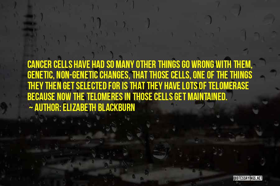 Elizabeth Blackburn Quotes: Cancer Cells Have Had So Many Other Things Go Wrong With Them, Genetic, Non-genetic Changes, That Those Cells, One Of