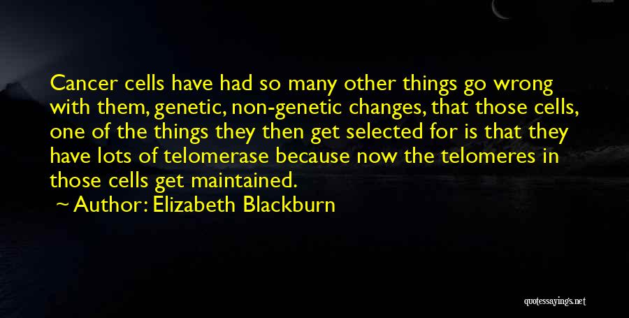Elizabeth Blackburn Quotes: Cancer Cells Have Had So Many Other Things Go Wrong With Them, Genetic, Non-genetic Changes, That Those Cells, One Of