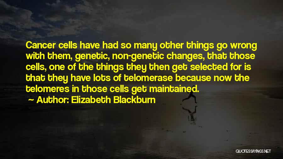 Elizabeth Blackburn Quotes: Cancer Cells Have Had So Many Other Things Go Wrong With Them, Genetic, Non-genetic Changes, That Those Cells, One Of