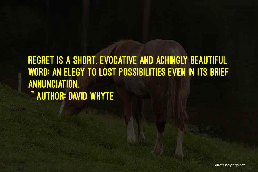 David Whyte Quotes: Regret Is A Short, Evocative And Achingly Beautiful Word: An Elegy To Lost Possibilities Even In Its Brief Annunciation.