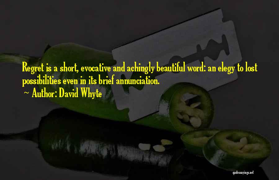 David Whyte Quotes: Regret Is A Short, Evocative And Achingly Beautiful Word: An Elegy To Lost Possibilities Even In Its Brief Annunciation.