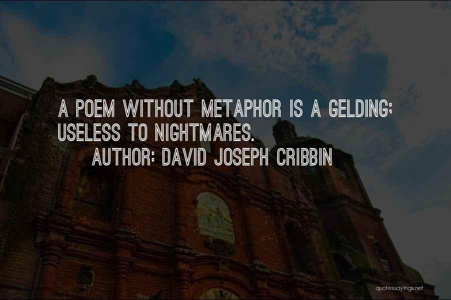 David Joseph Cribbin Quotes: A Poem Without Metaphor Is A Gelding; Useless To Nightmares.