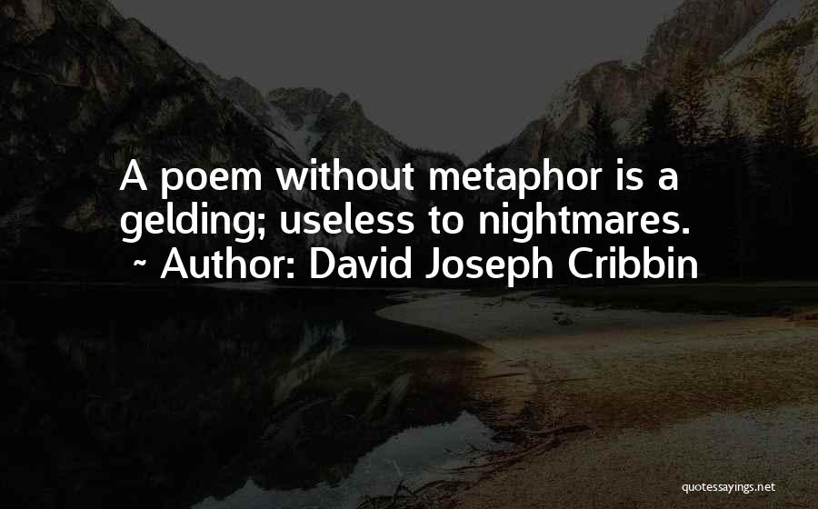 David Joseph Cribbin Quotes: A Poem Without Metaphor Is A Gelding; Useless To Nightmares.