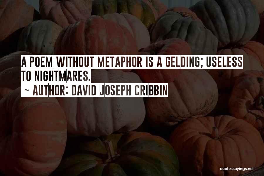 David Joseph Cribbin Quotes: A Poem Without Metaphor Is A Gelding; Useless To Nightmares.