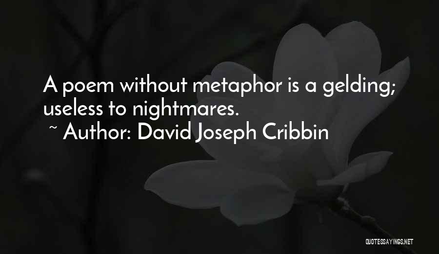 David Joseph Cribbin Quotes: A Poem Without Metaphor Is A Gelding; Useless To Nightmares.