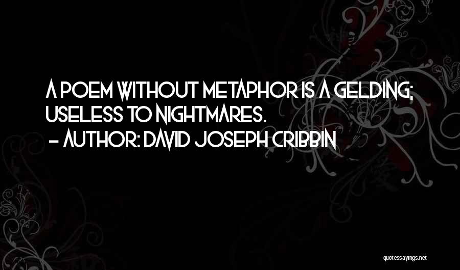 David Joseph Cribbin Quotes: A Poem Without Metaphor Is A Gelding; Useless To Nightmares.