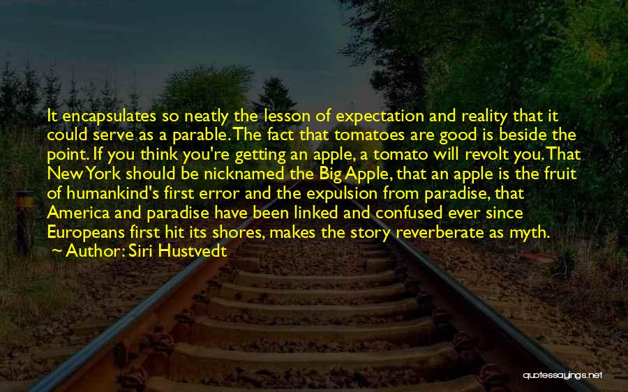 Siri Hustvedt Quotes: It Encapsulates So Neatly The Lesson Of Expectation And Reality That It Could Serve As A Parable. The Fact That