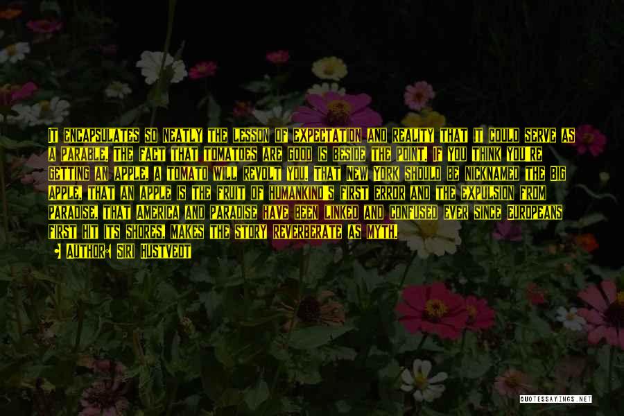 Siri Hustvedt Quotes: It Encapsulates So Neatly The Lesson Of Expectation And Reality That It Could Serve As A Parable. The Fact That