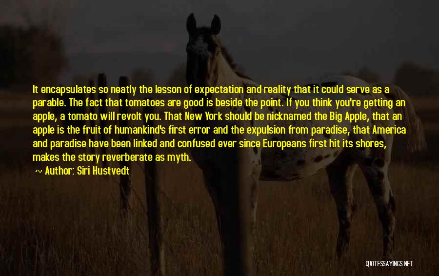 Siri Hustvedt Quotes: It Encapsulates So Neatly The Lesson Of Expectation And Reality That It Could Serve As A Parable. The Fact That