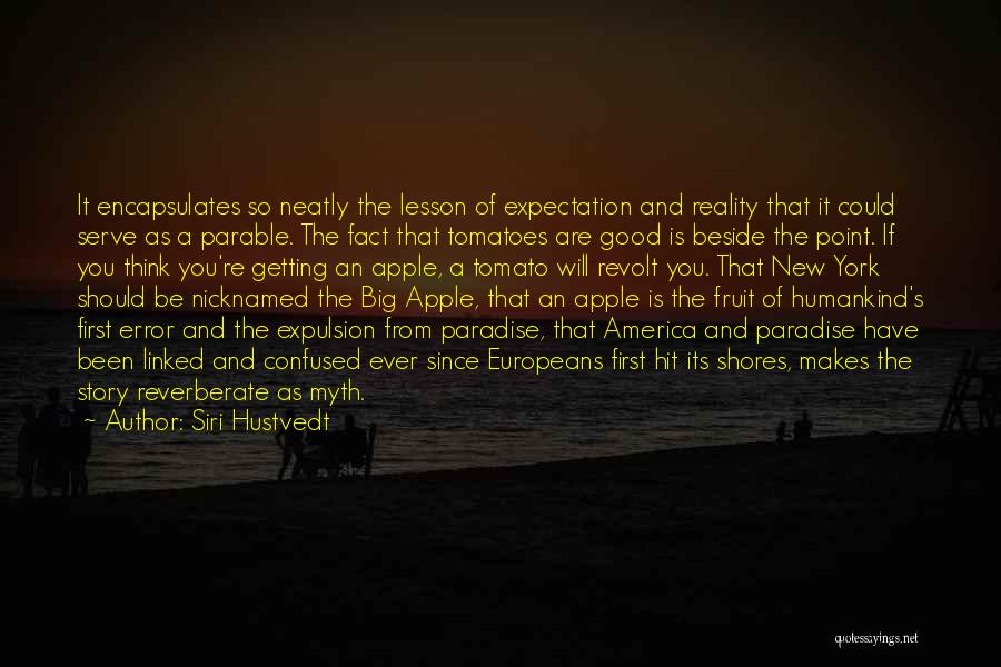 Siri Hustvedt Quotes: It Encapsulates So Neatly The Lesson Of Expectation And Reality That It Could Serve As A Parable. The Fact That