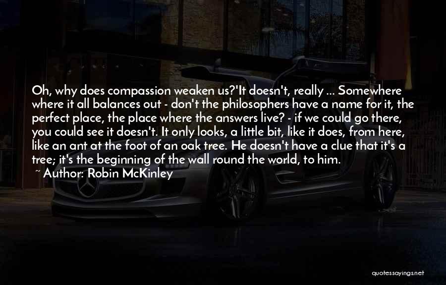 Robin McKinley Quotes: Oh, Why Does Compassion Weaken Us?'it Doesn't, Really ... Somewhere Where It All Balances Out - Don't The Philosophers Have