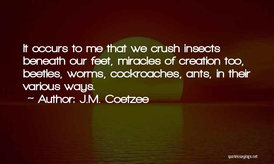 J.M. Coetzee Quotes: It Occurs To Me That We Crush Insects Beneath Our Feet, Miracles Of Creation Too, Beetles, Worms, Cockroaches, Ants, In