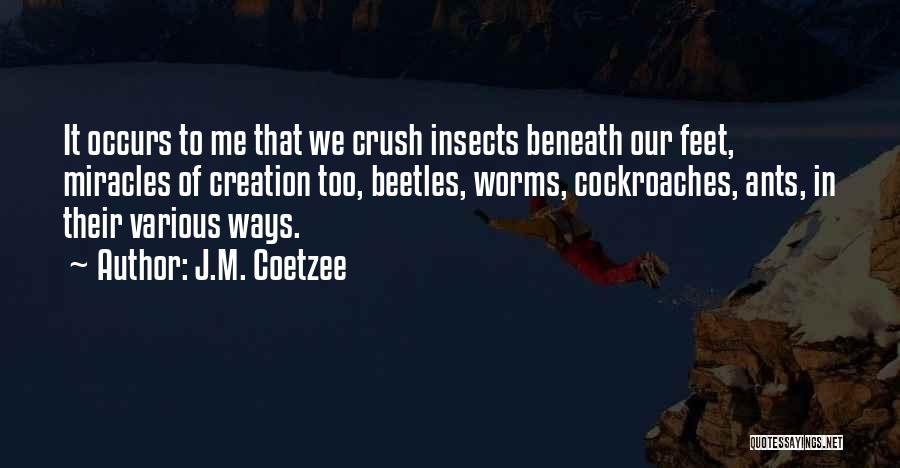 J.M. Coetzee Quotes: It Occurs To Me That We Crush Insects Beneath Our Feet, Miracles Of Creation Too, Beetles, Worms, Cockroaches, Ants, In