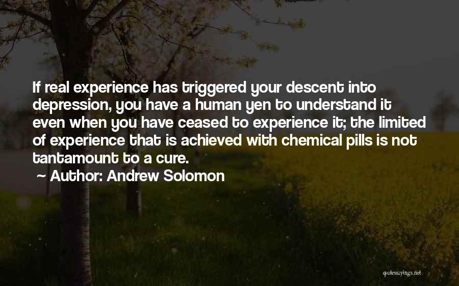 Andrew Solomon Quotes: If Real Experience Has Triggered Your Descent Into Depression, You Have A Human Yen To Understand It Even When You