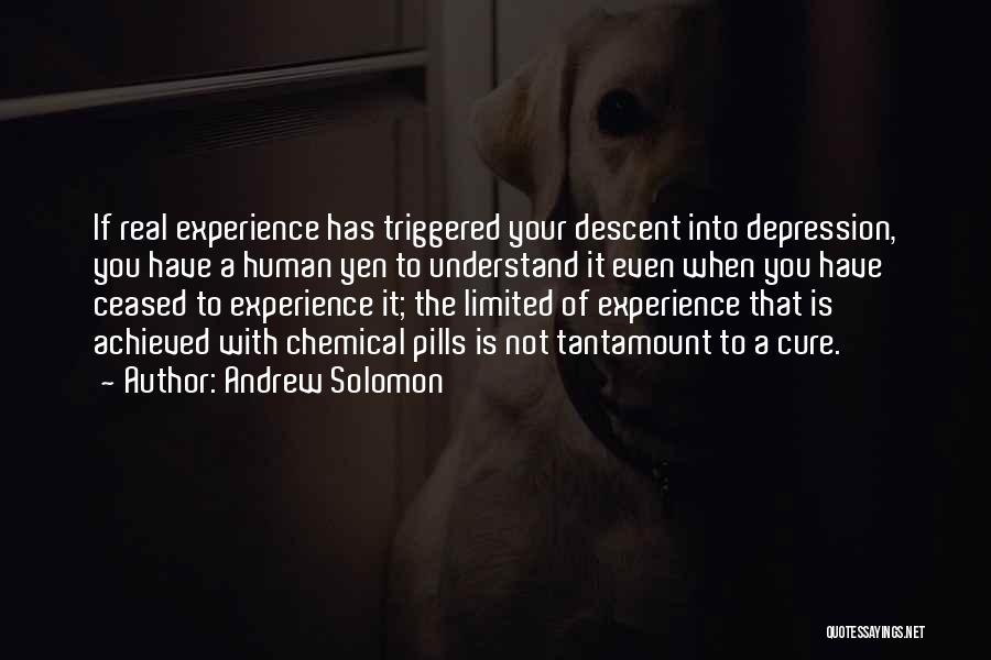 Andrew Solomon Quotes: If Real Experience Has Triggered Your Descent Into Depression, You Have A Human Yen To Understand It Even When You