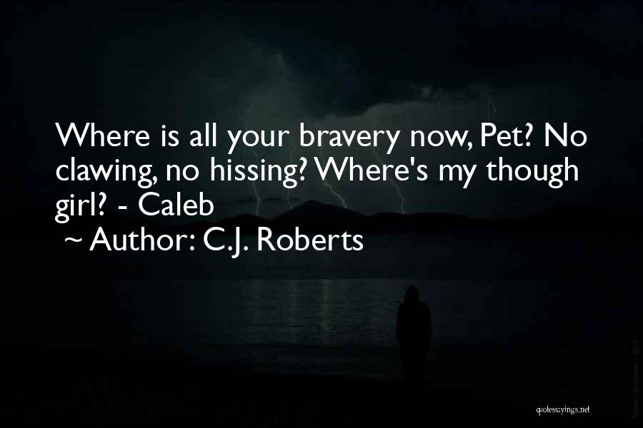 C.J. Roberts Quotes: Where Is All Your Bravery Now, Pet? No Clawing, No Hissing? Where's My Though Girl? - Caleb