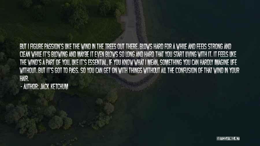 Jack Ketchum Quotes: But I Figure Passion's Like The Wind In The Trees Out There. Blows Hard For A While And Feels Strong
