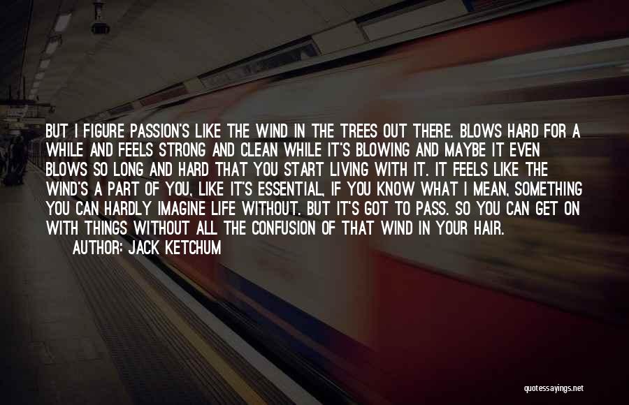 Jack Ketchum Quotes: But I Figure Passion's Like The Wind In The Trees Out There. Blows Hard For A While And Feels Strong