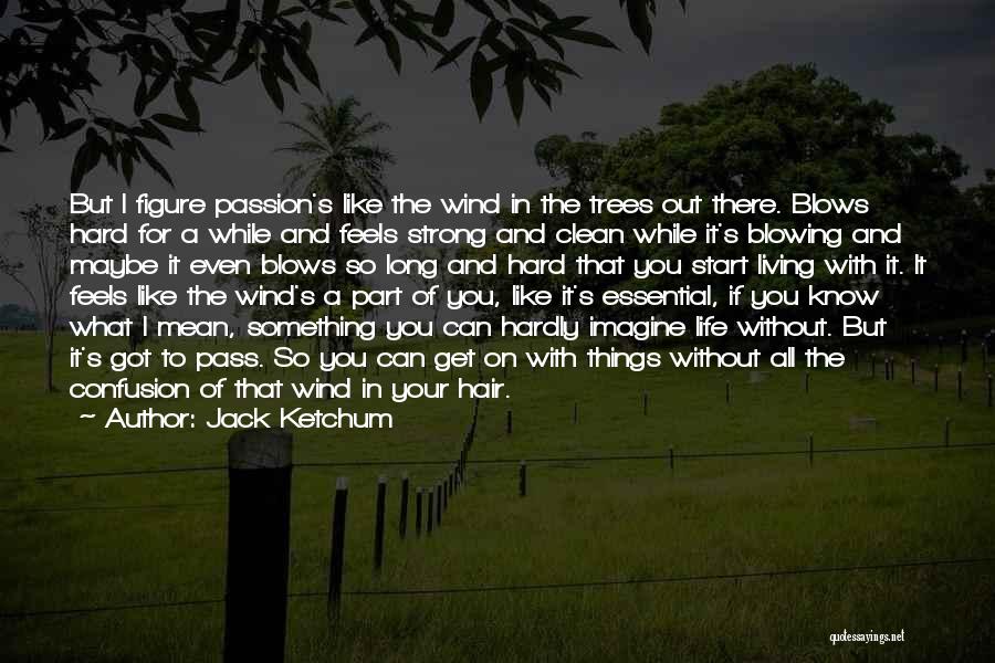 Jack Ketchum Quotes: But I Figure Passion's Like The Wind In The Trees Out There. Blows Hard For A While And Feels Strong