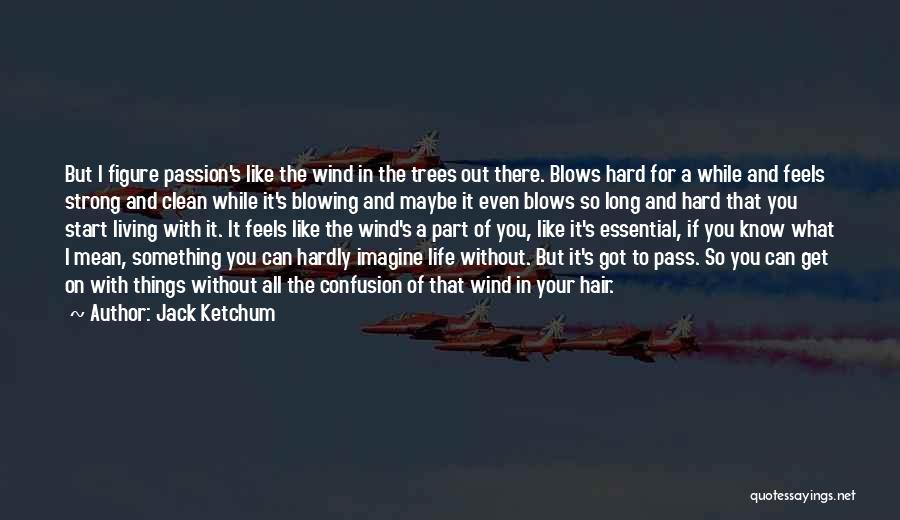 Jack Ketchum Quotes: But I Figure Passion's Like The Wind In The Trees Out There. Blows Hard For A While And Feels Strong