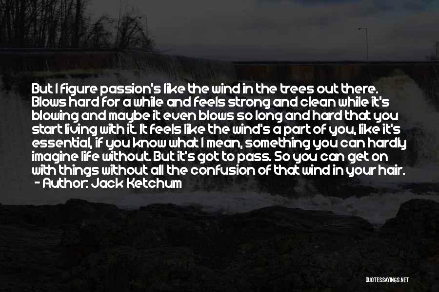 Jack Ketchum Quotes: But I Figure Passion's Like The Wind In The Trees Out There. Blows Hard For A While And Feels Strong