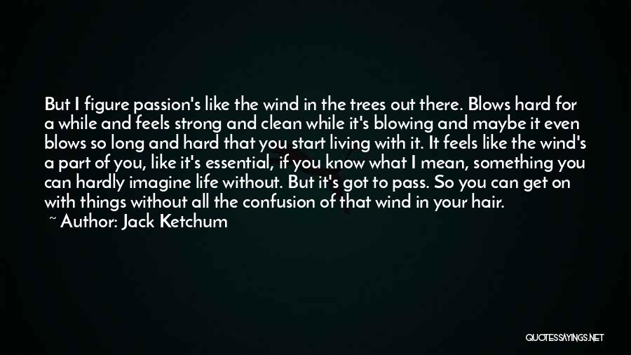 Jack Ketchum Quotes: But I Figure Passion's Like The Wind In The Trees Out There. Blows Hard For A While And Feels Strong