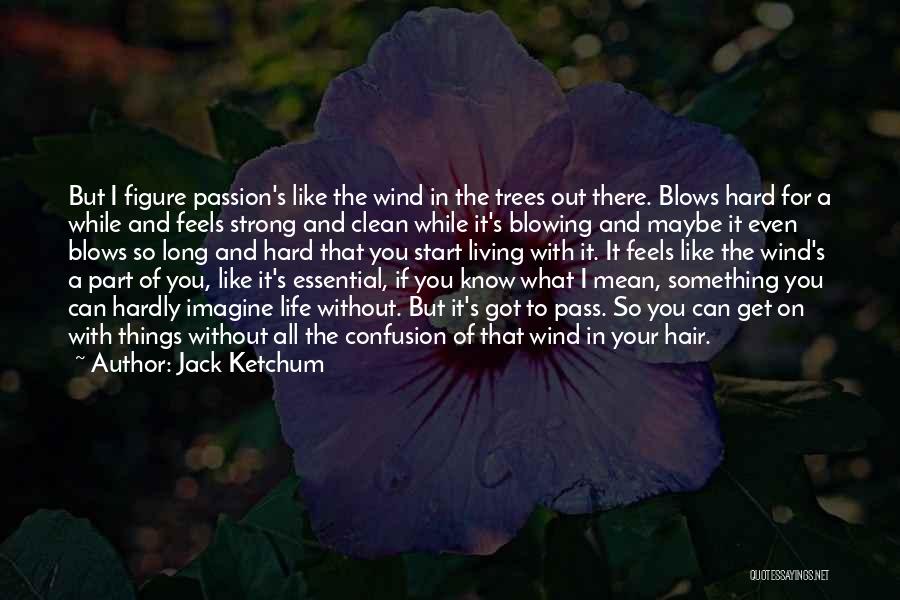 Jack Ketchum Quotes: But I Figure Passion's Like The Wind In The Trees Out There. Blows Hard For A While And Feels Strong