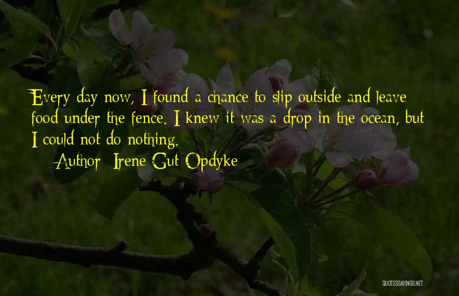 Irene Gut Opdyke Quotes: Every Day Now, I Found A Chance To Slip Outside And Leave Food Under The Fence. I Knew It Was